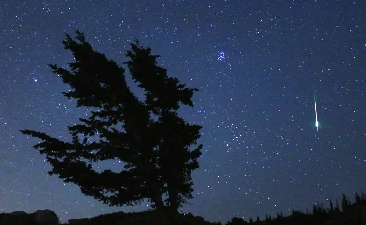 Imagem mostra um meteoro caindo com uma árvore durante uma noite