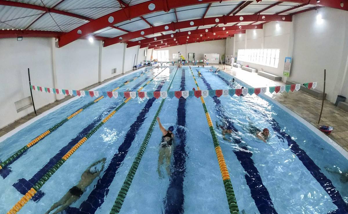 Imagem mostra uma piscina com quatro pessoas nadando