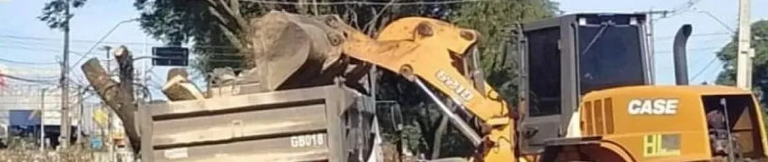 Imagem mostra um trator carregando um caminhão com o resto das árvores cortadas em Curitiba.