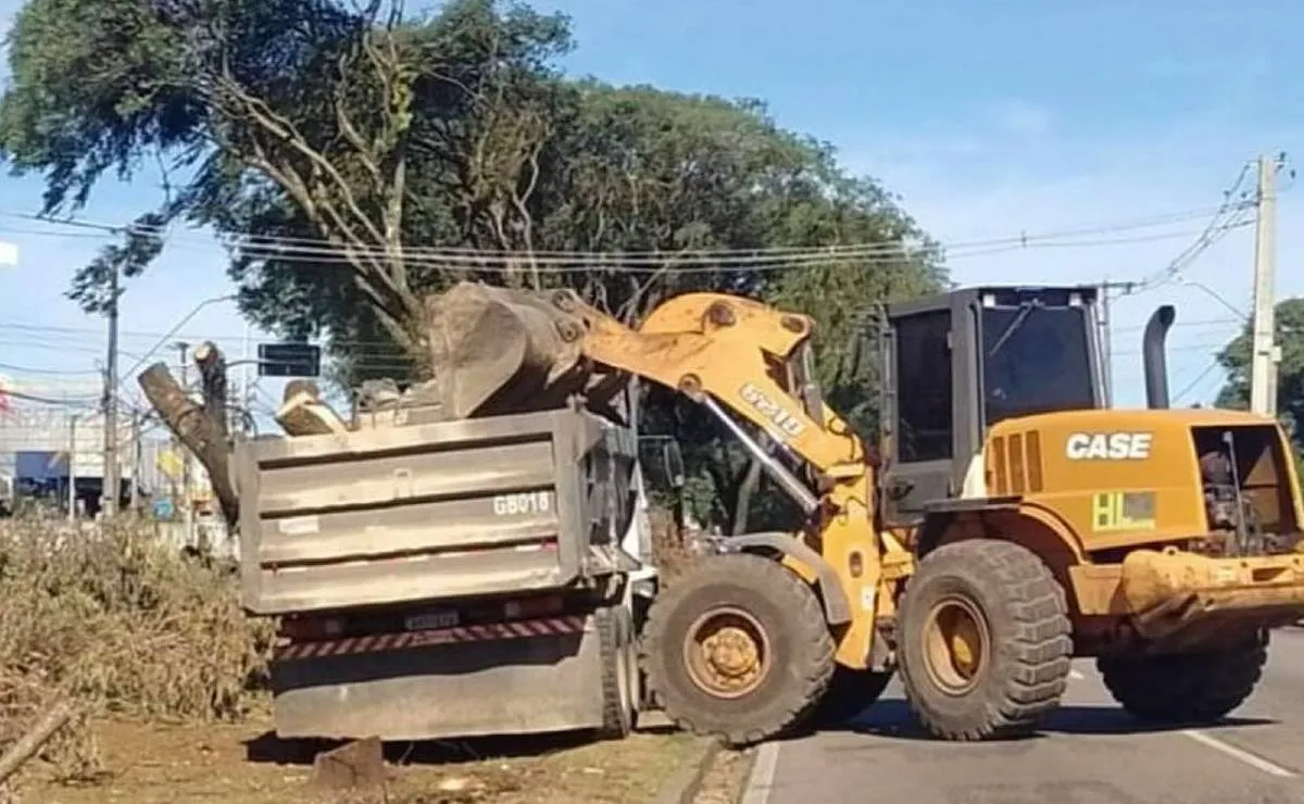Imagem mostra um trator carregando um caminhão com o resto das árvores cortadas em Curitiba.