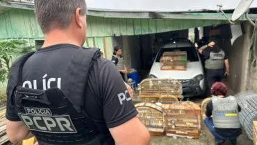 Polícia Civil deflagra operação contra  tráfico de animais silvestres no Paraná