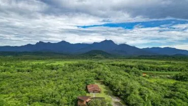 Programa quer salvar 50 hectares de mata nativa e 77 espécies no Litoral do Paraná