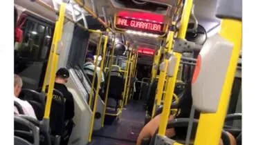 Baratas aterrorizam passageiros em ônibus na região de Curitiba: 