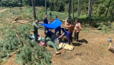 Árvore cai na região de Curitiba e deixa trabalhador gravemente ferido; helicóptero da PM fez resgate