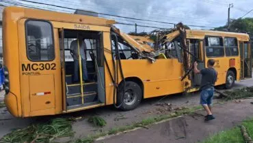 Árvore cai em cima de ônibus e deixa vítima presa nas ferragens em Curitiba