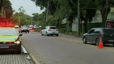 Importante rua de Curitiba fica interditada após árvore despencar em fiação