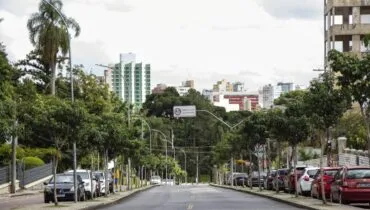 Avenidas importantes de Curitiba ganham novo corredor verde com mais de mil árvores