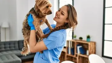 Pets também sofrem com doenças renais; confira os sintomas de alerta