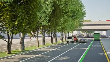 Avenida de Curitiba vai ganhar novo corredor verde após megacorte de árvores