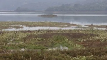 Paraná volta a registrar cenário de seca, avalia monitor nacional