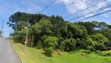 Curitiba cria três novas áreas de reserva ambiental no bairro mais famoso da cidade