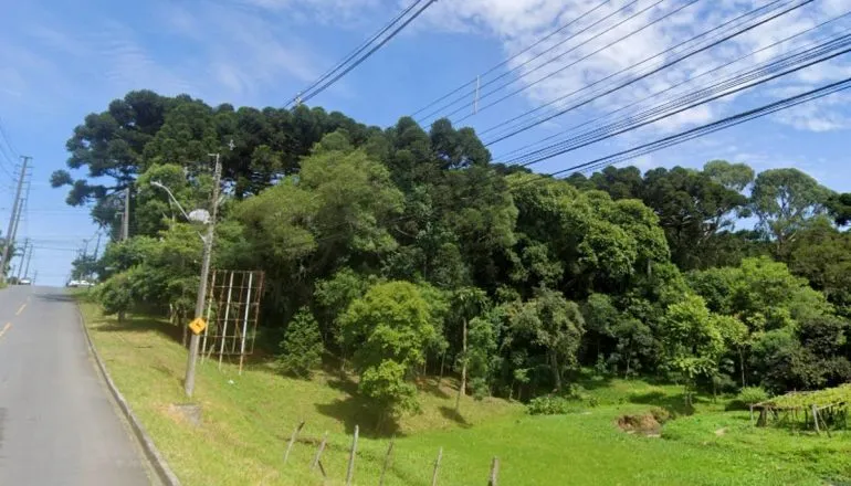 Curitiba cria três novas áreas de reserva ambiental no bairro mais famoso da cidade
