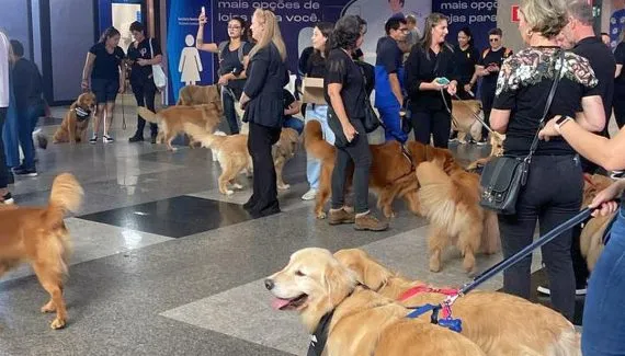 Após morte de cão em avião, protesto no Afonso Pena mobiliza tutores e mais de 100 cães