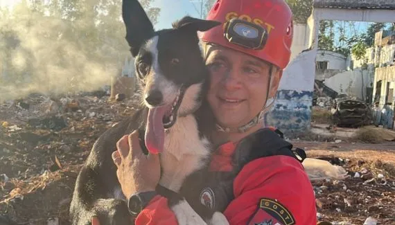 Cachorros que ajudam a salvar vidas! Paraná amplia número de cães aptos para resgates
