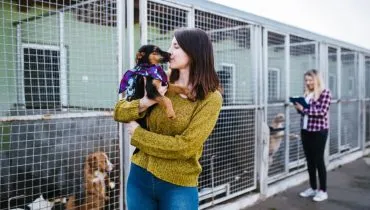 Cachorros, gatos e pets resgatados: 8 maneiras de ajudar os abrigos de animais 