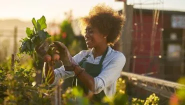 4 dicas para plantar e cultivar hortaliças