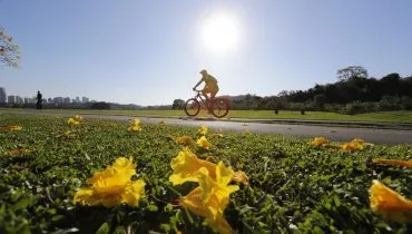 Imagem mostra uma pessoa andando de bicicleta com o sol ao fundo. Em primeiro plano grama com pétalas de ipê amarelo.