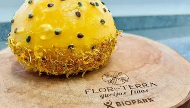 Queijo fino produzido no Paraná.