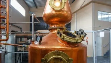 hambre destilaria capa web