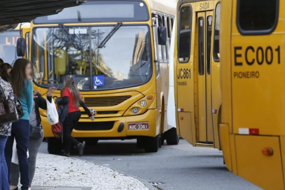 Na imagem, ônibus amarelos de linhas do transporte publico de Curitiba
