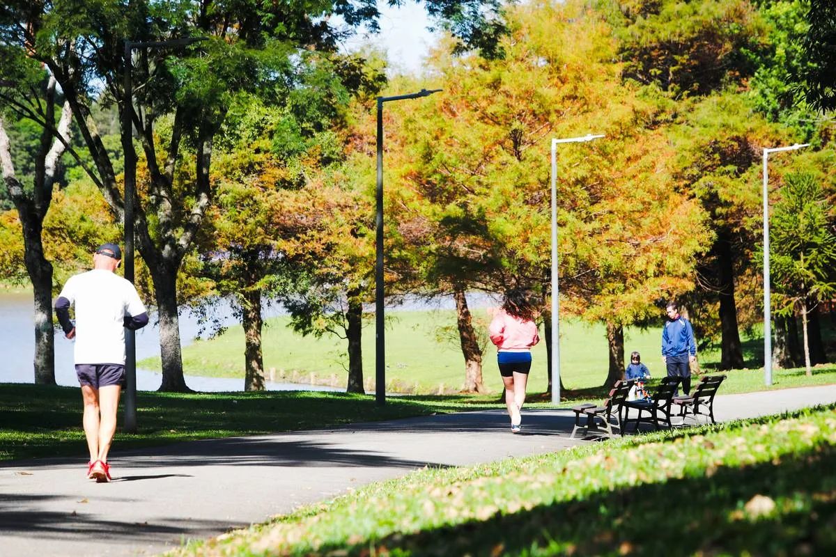 Imagem mostra um parque de Curitiba no outono.