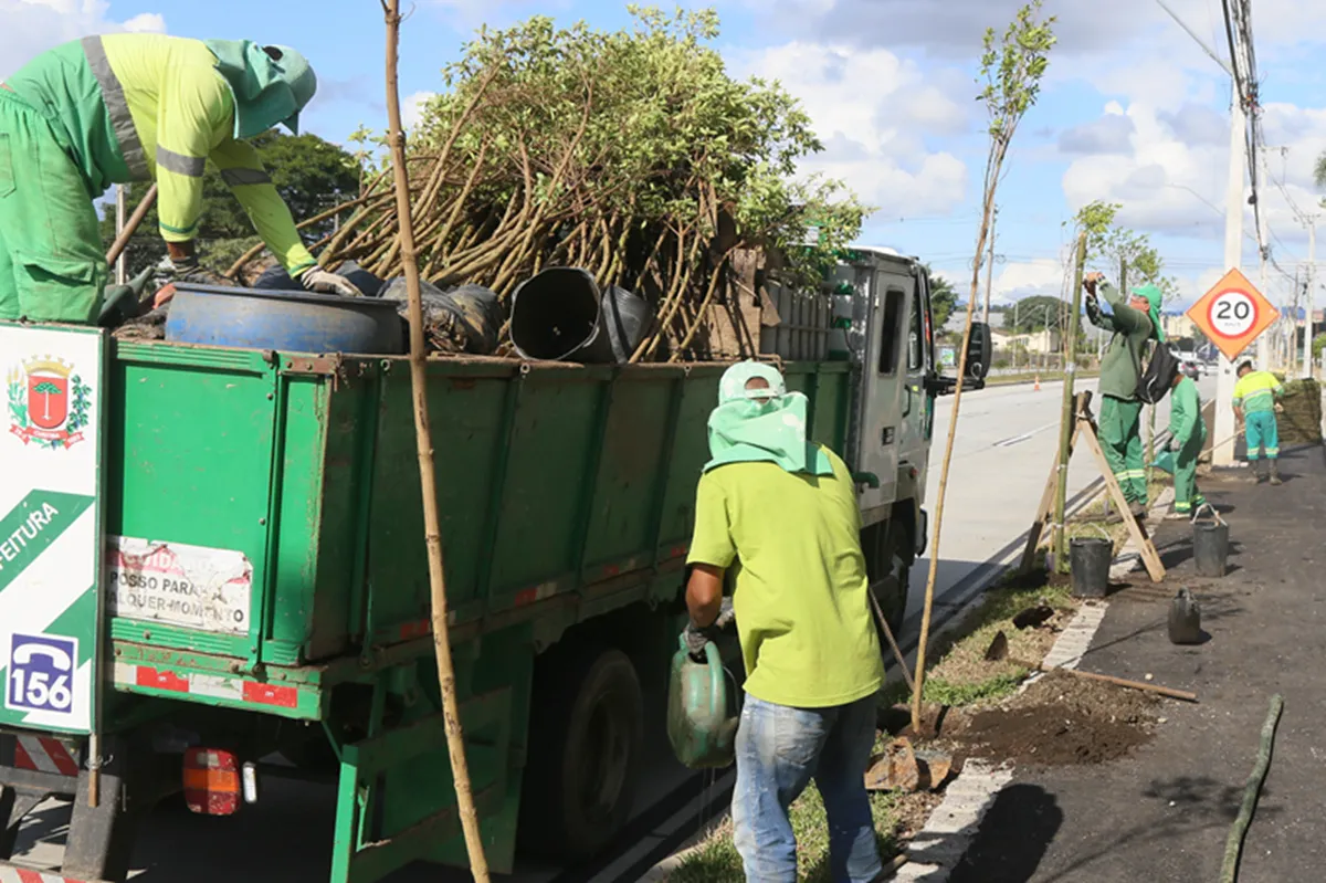 Árvores sendo plantadas na Avenida Victor Ferreira do Amaral