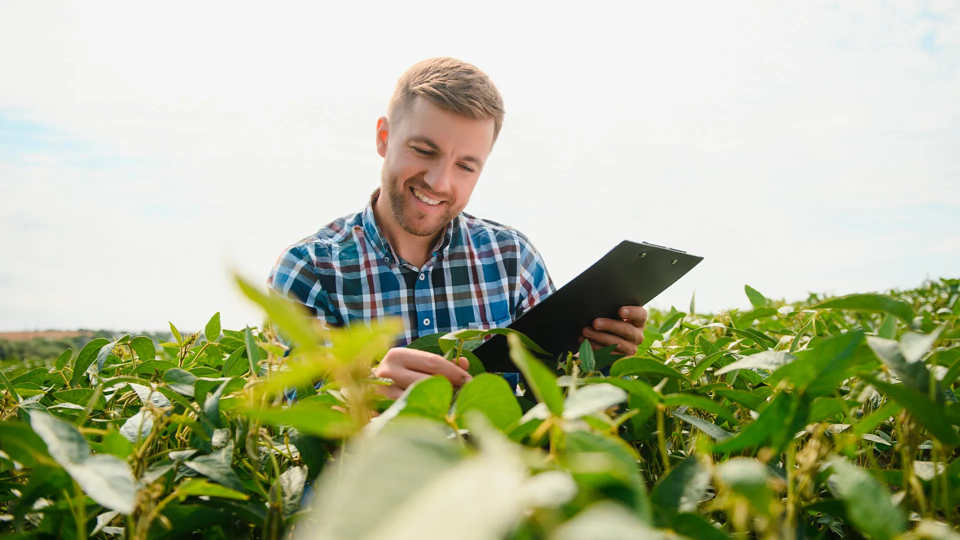 Investir em soluções eficazes e sustentáveis para a proteção agrícola traz benefícios significativos tanto para o bolso do produtor quanto para o meio ambiente