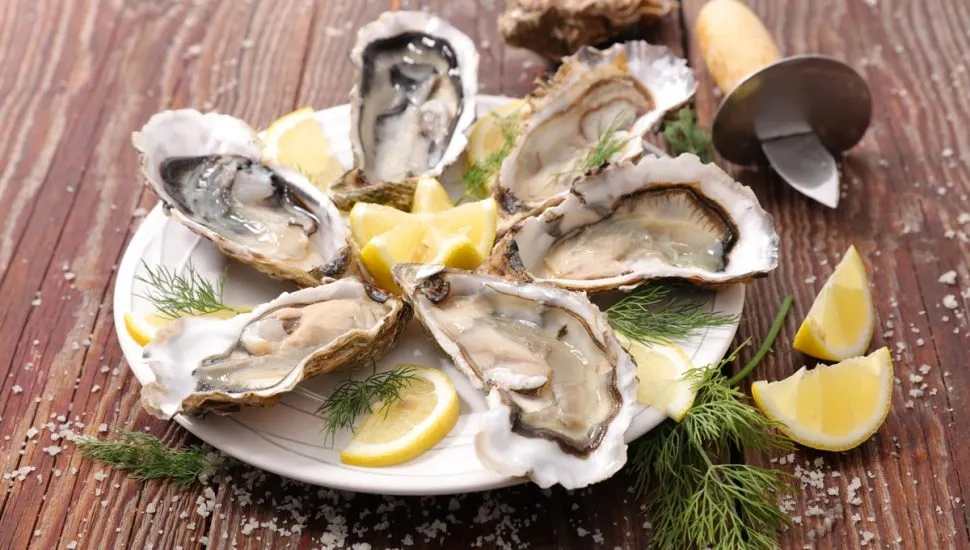 Imagem mostra ostras em prato