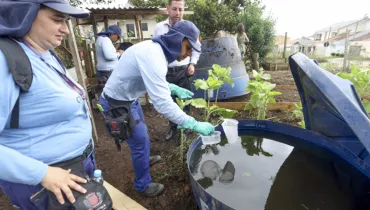Vistoria de dengue em Curitiba