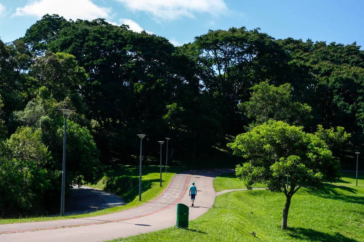 Imagem mostra um parque com pista de caminhada entre as árvores.