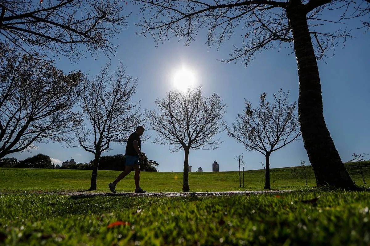Imagem mostra uma pessoa andando no Jardim Botânico. O céu está azul e o sol brilhando, gerando um contraste com as árvores secas.