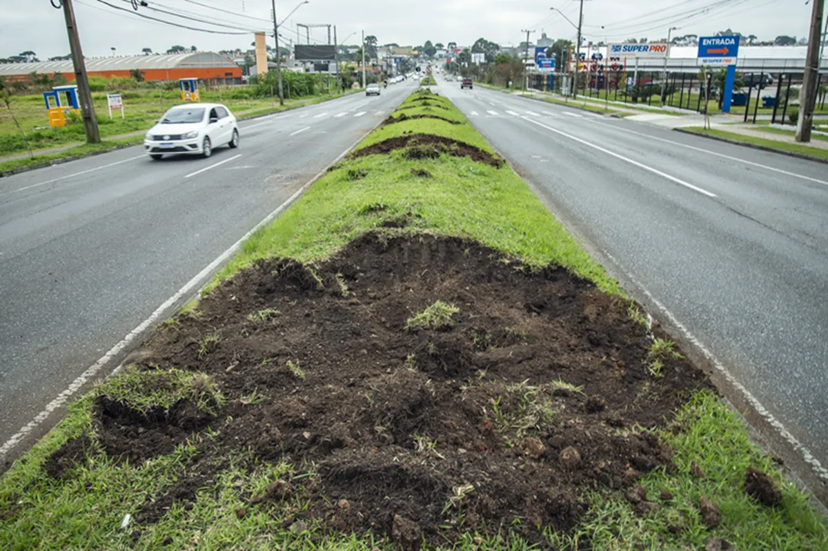 Início da implantação dos berços para o plantio de árvores na rua João Bettega, em Curitiba
