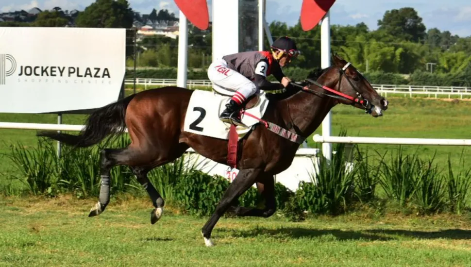 Corrida de cavalo no Jockey Club do Paraná, em Curitiba