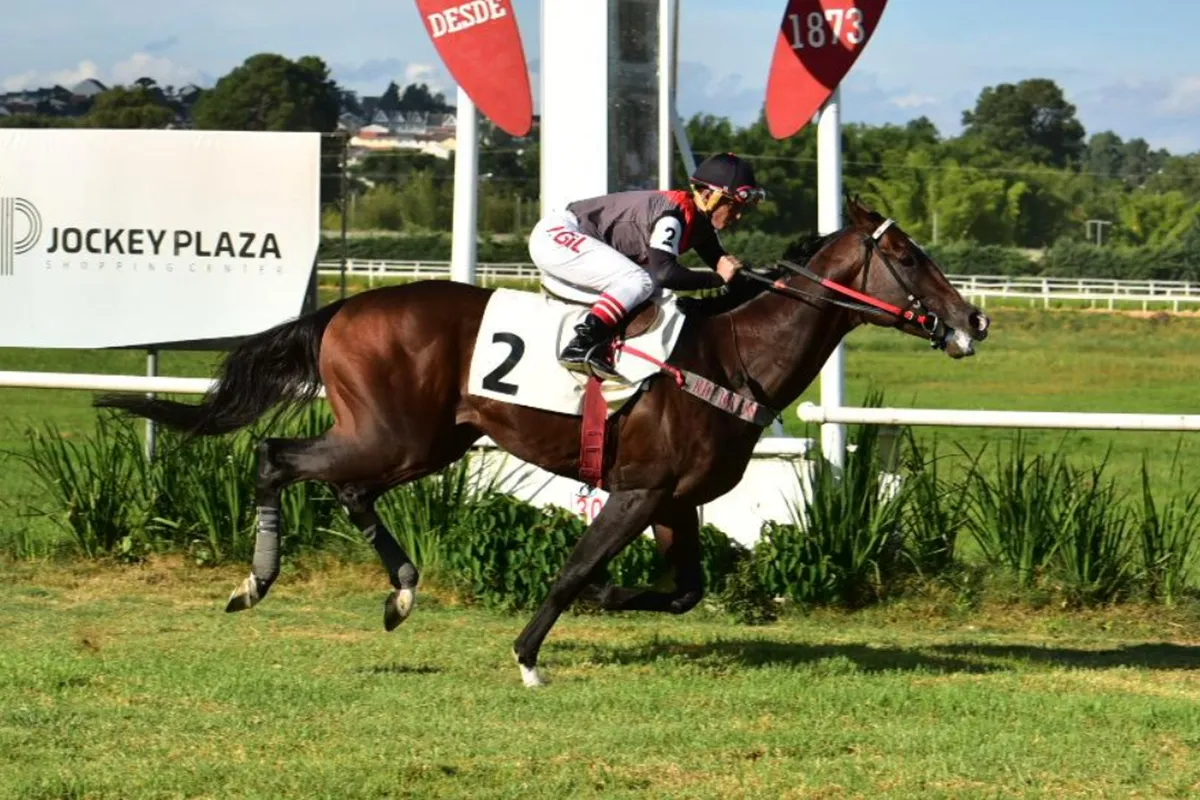 Corrida de cavalo no Jockey Club do Paraná, em Curitiba