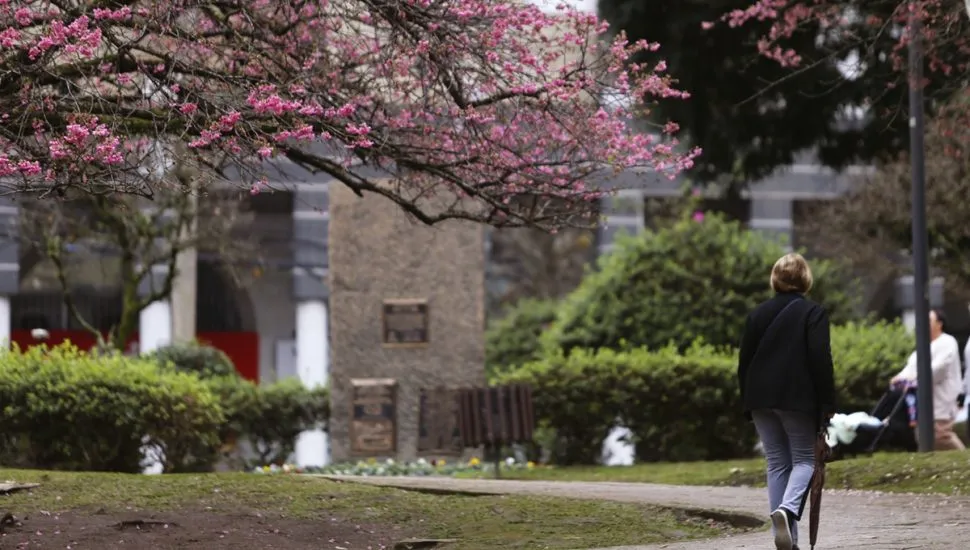 Curitiba tem o dia mais frio do ano