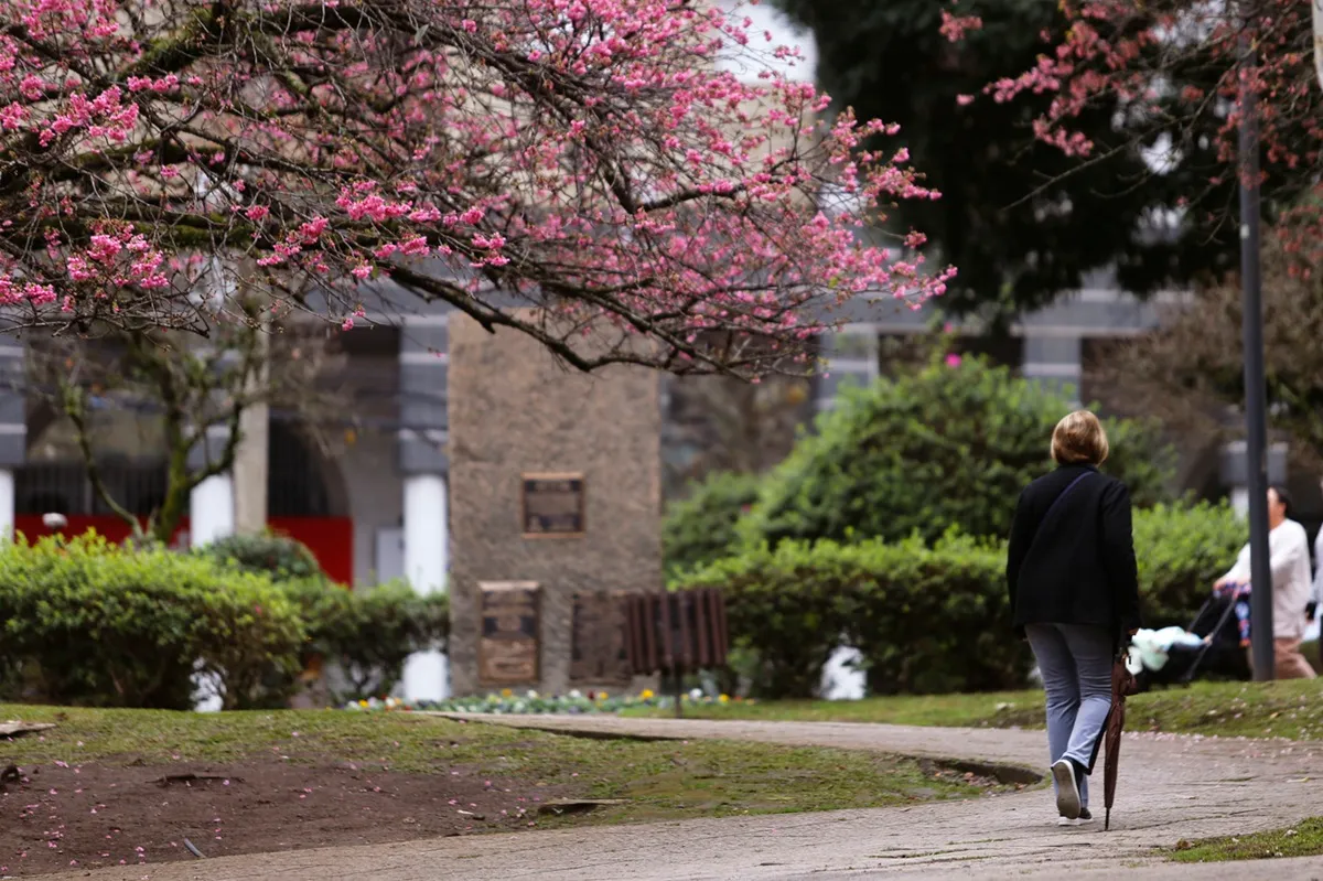 Curitiba tem o dia mais frio do ano
