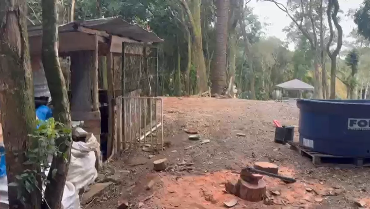 Desmatamento em Curitiba