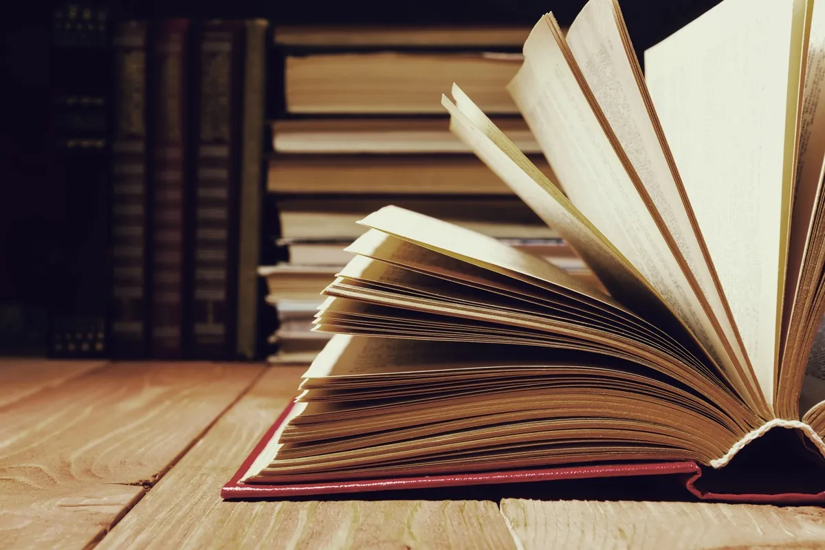 Imagem mostra livro aberto