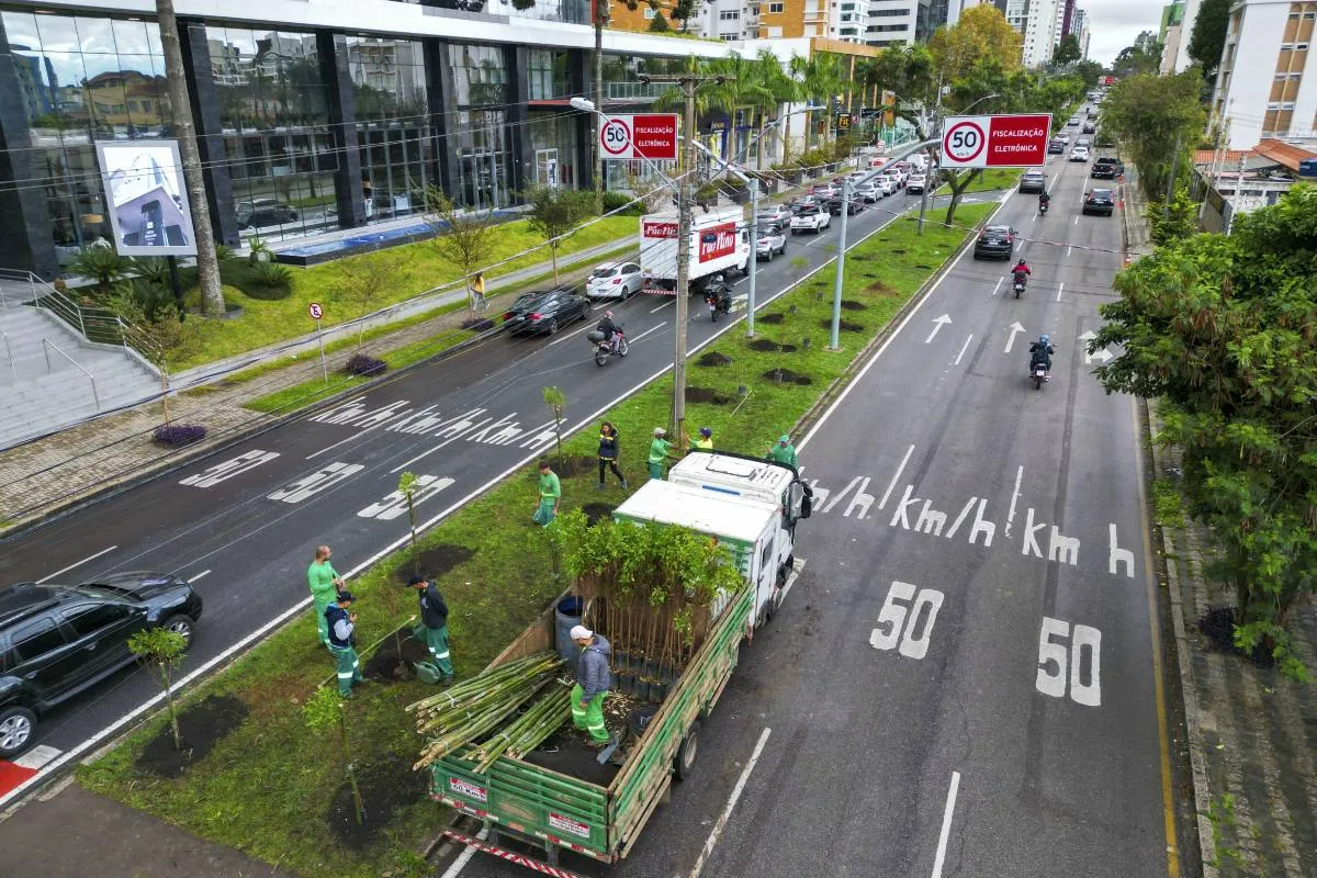 Imagem aérea mostra a Avenida Silva Jardim em Curitiba com novo plantio de árvores.