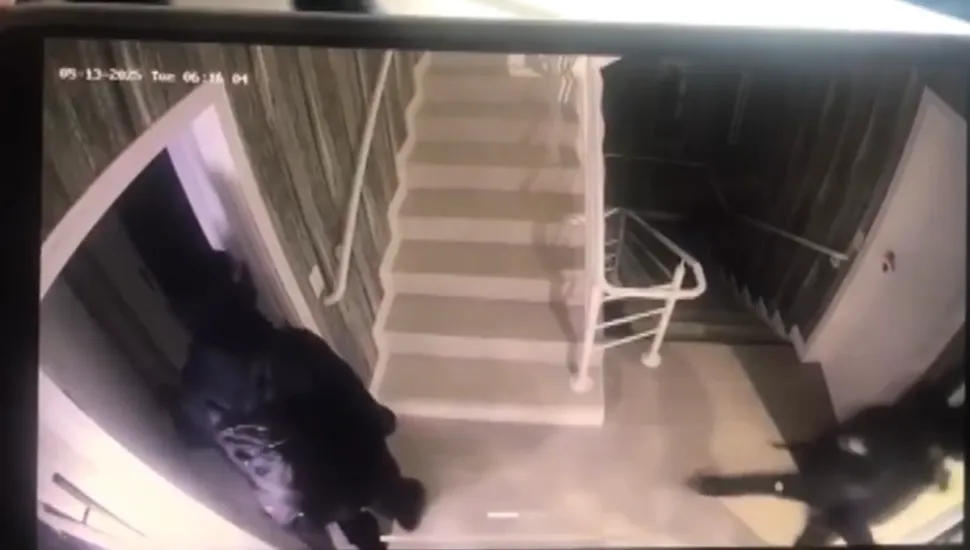 Assalta em condomínio de luxo em Curitiba