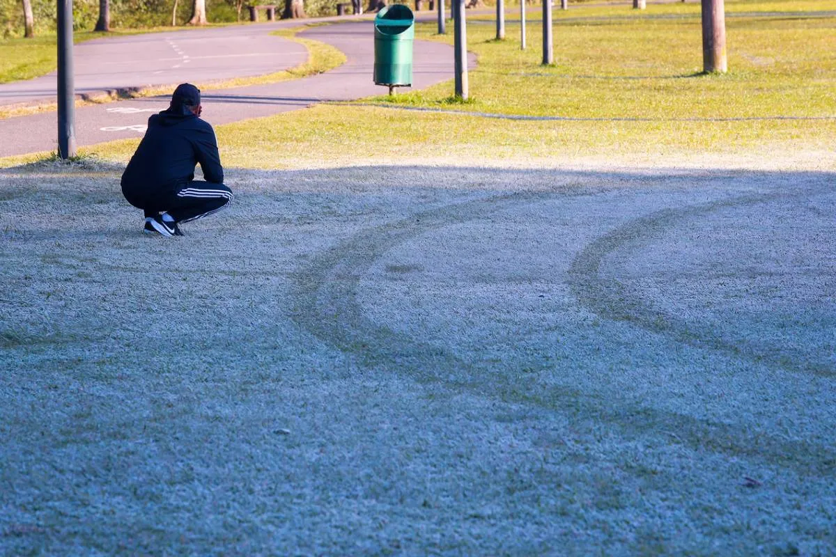 Imagem mostra a geada no parque Barigui. Sol ilumina o gramado com uma leve camada de gelo.