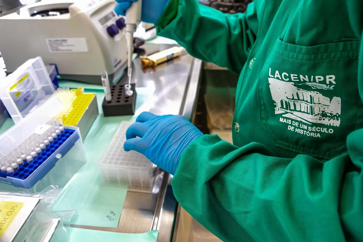 Circulação da gripe no Paraná aumenta, indicam exames de laboratório