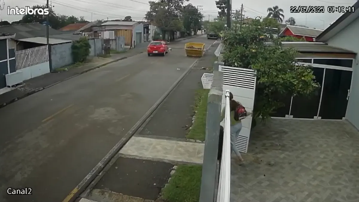 Cachorro morre após ser atropelado por carro em Piraquara, na Região Metropolitana de Curitiba