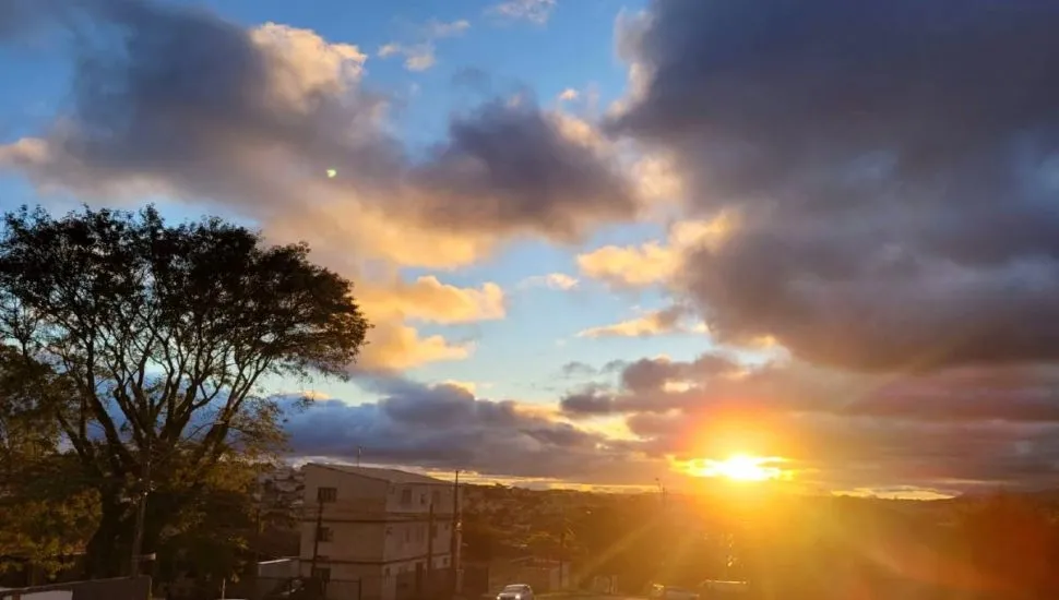 Imagem mostra o amanhecer em Curitiba. Com sol entre as nuvens, uma bela árvore e carros na rua