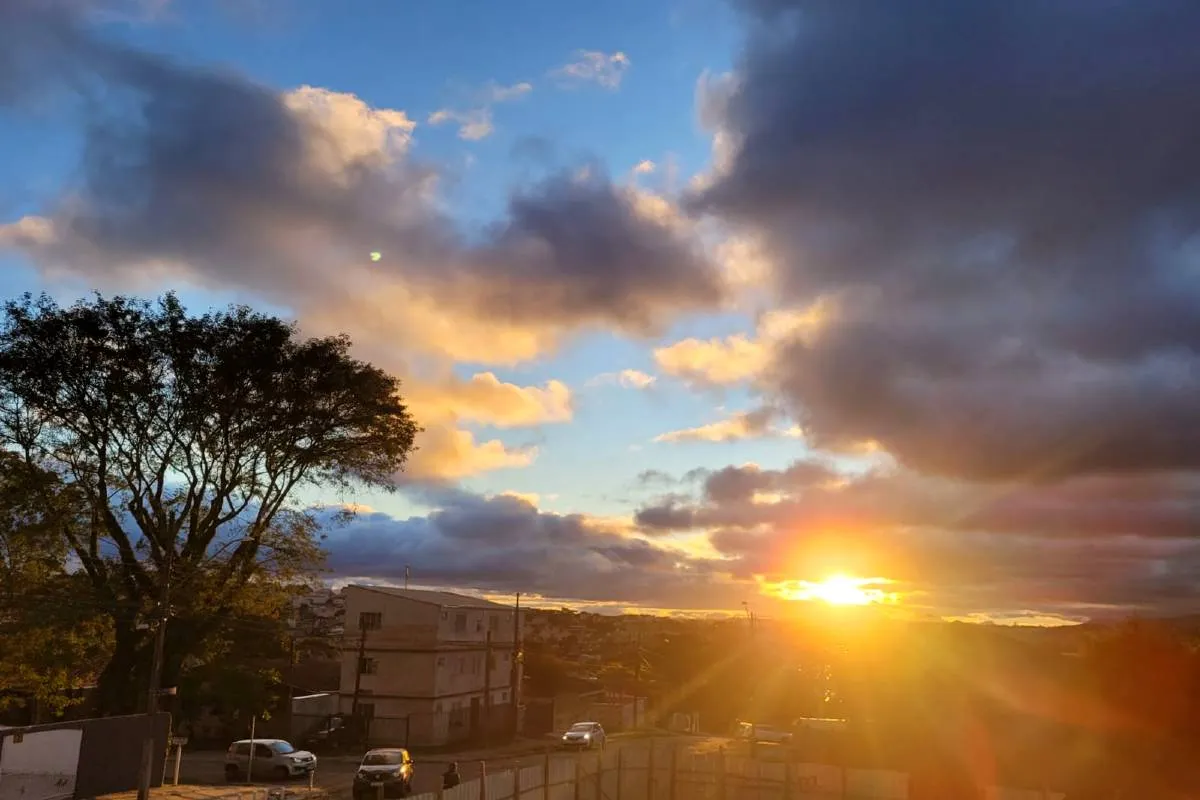 Imagem mostra o amanhecer em Curitiba. Com sol entre as nuvens, uma bela árvore e carros na rua
