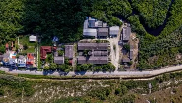 Vegetação de restinga em Pontal do Paraná, no litoral