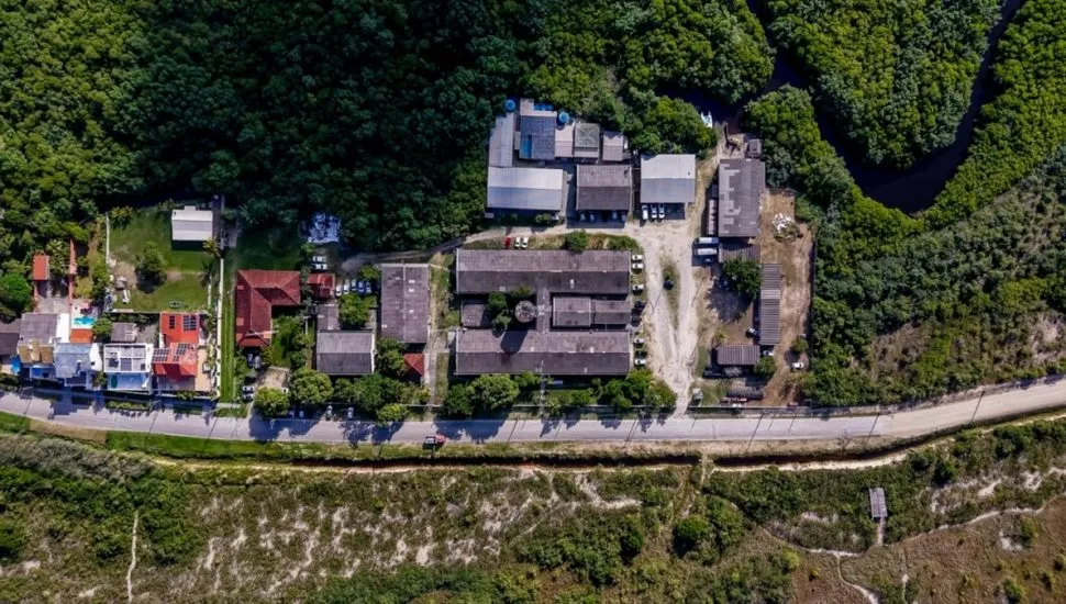 Vegetação de restinga em Pontal do Paraná, no litoral