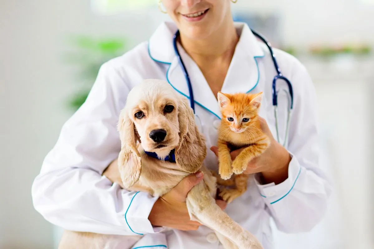 Imagem mostra uma médica, com estetoscópio pendurada no pescoço, de jaleco branco, segurando um cachorro e um gato