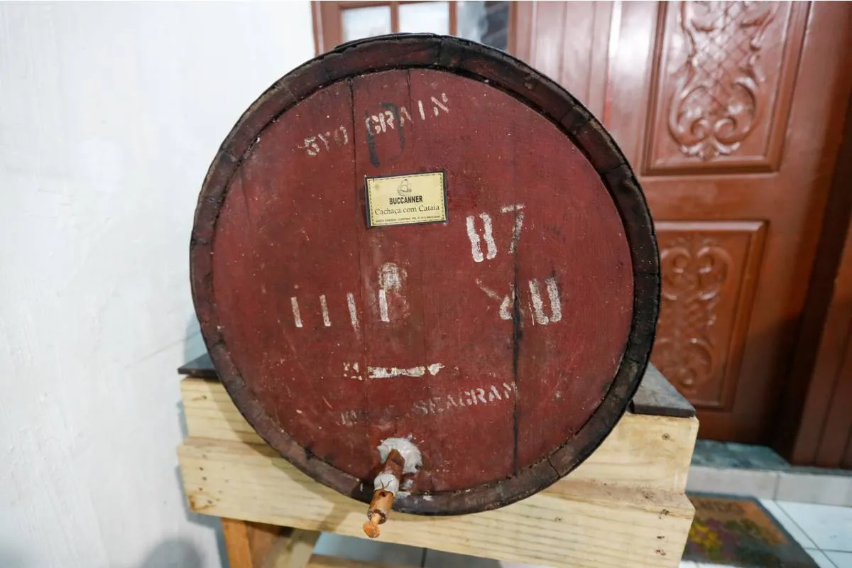 Imagem mostra um homem segurando folhas de cataia ao lado de um barril.