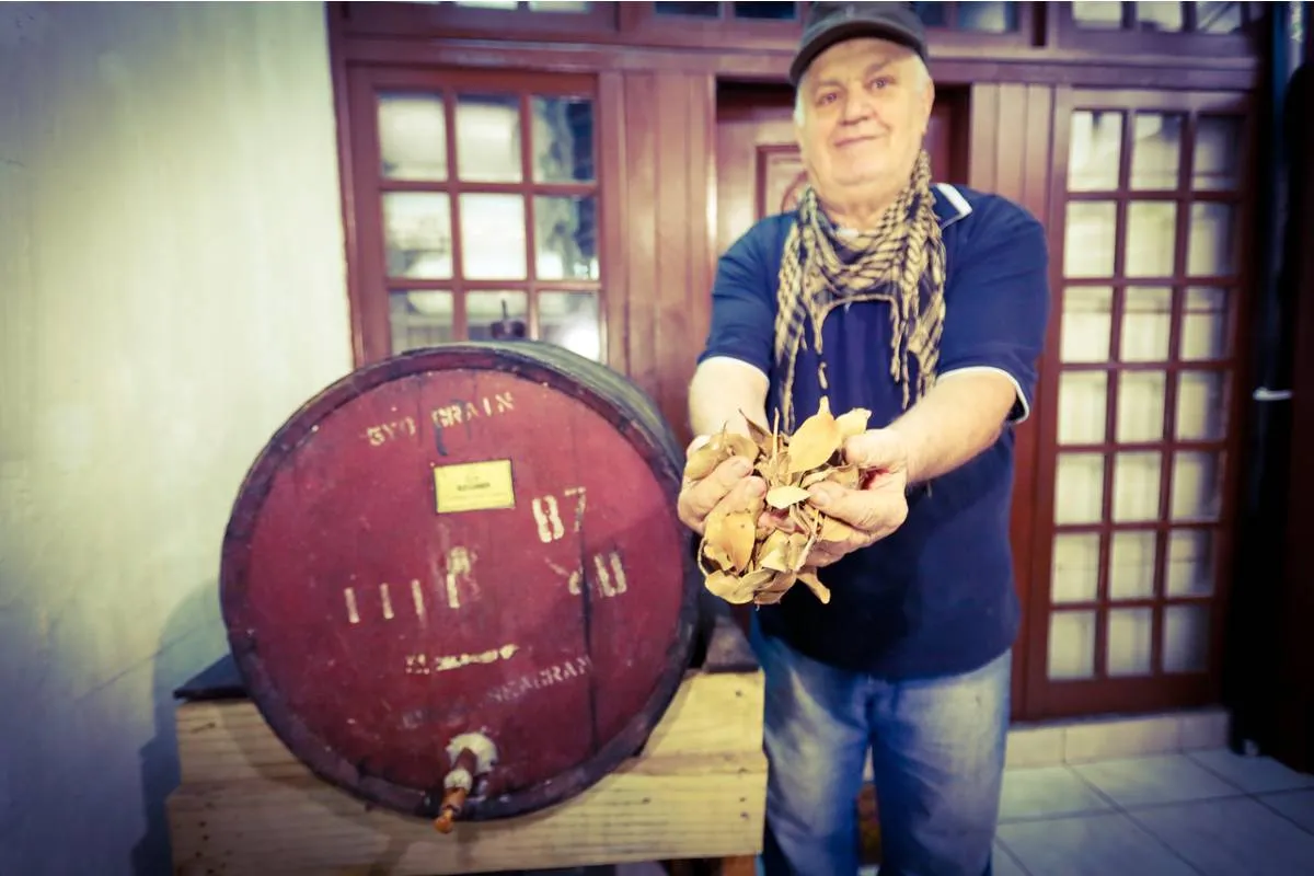 Imagem mostra um homem segurando folhas de cataia ao lado de um barril.